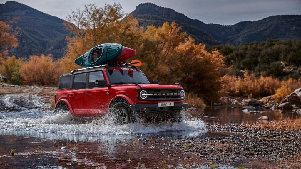 bronco on the water